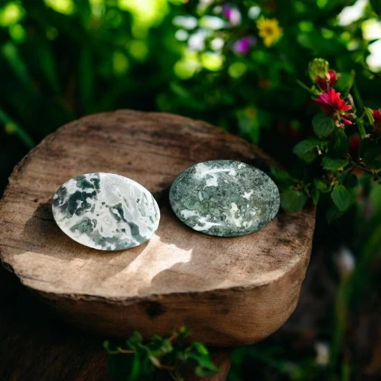 Moss Agate Crystal Palm Stones for Growth, Prosperity, and Connection to Nature | Premium Quality Crystals | @SASARAworld