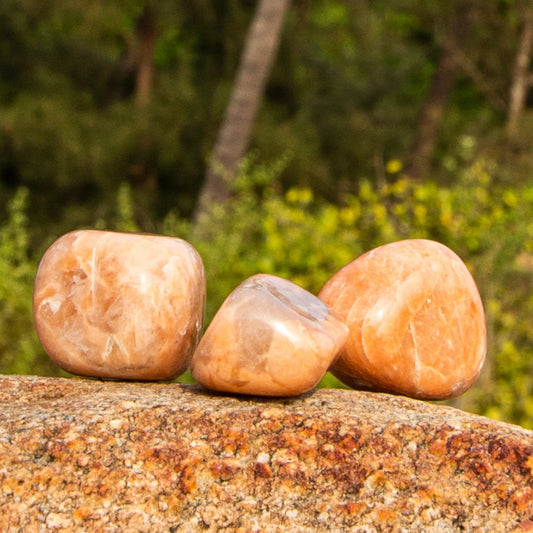 SASARA • Mindfully-Sourced, High-Quality Peach Moonstone Crystal Tumble Stones