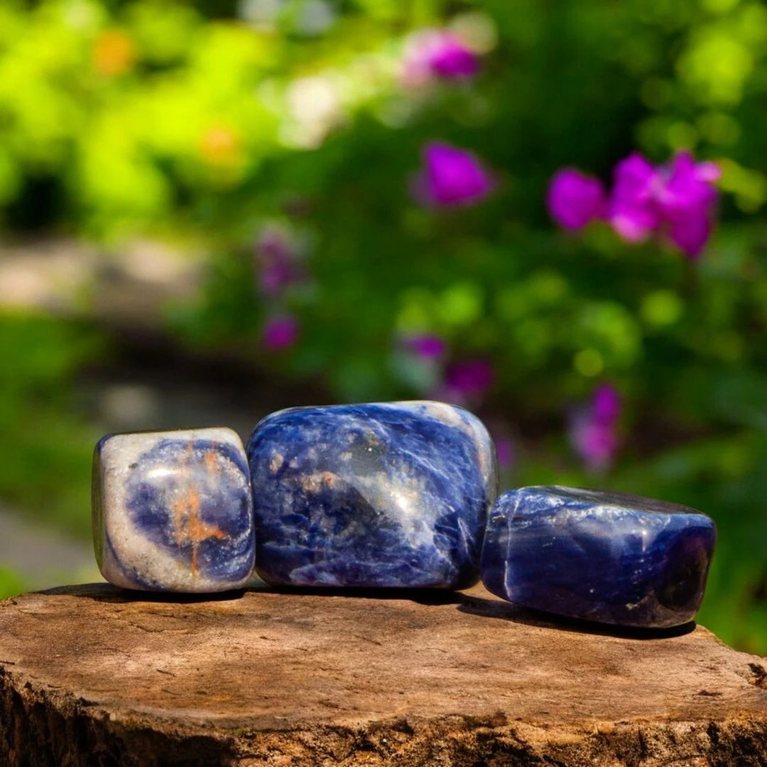 Sodalite Crystals for Communication and Intellectual Pursuit. The Stone of Logic | Premium Quality Crystals | @SASARAworld