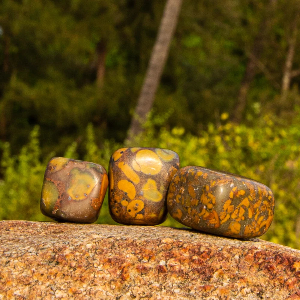 © SASARA • Mindfully-Sourced, High-Quality Fruit Jasper Crystals