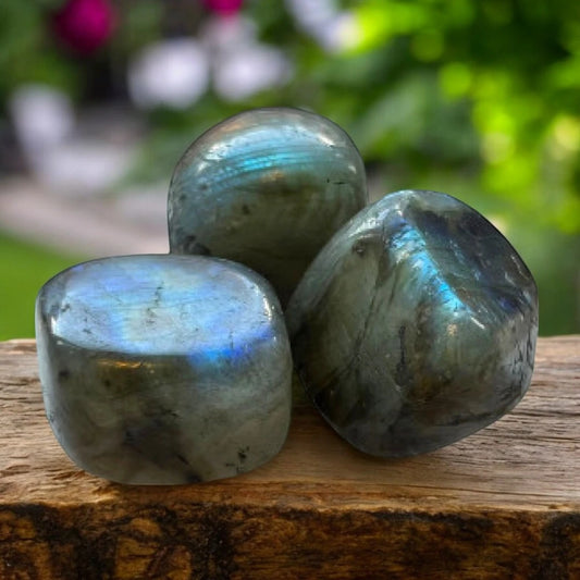 Labradorite Crystals for Transformation, Inspirations, Shield Against Negative Energy | Premium Quality Crystals | @SASARAworld