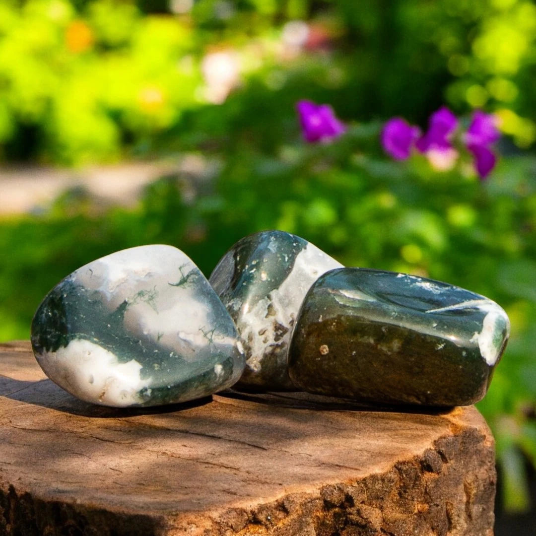 Moss Agate Crystals for Stability, Growth and Deepen Connections | Premium Quality Crystals | @SASARAworld