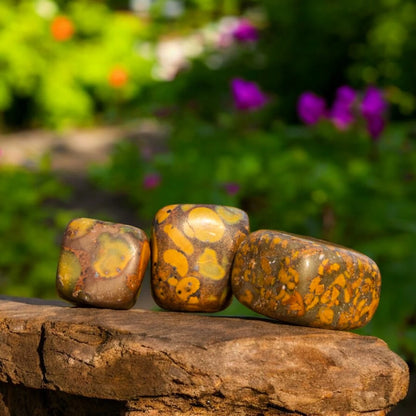 Sabalgarh Marble (Fruit Jasper) for Abundance and Prosperity, Nurture and Growth | Premium Quality Crystals | @SASARAworld