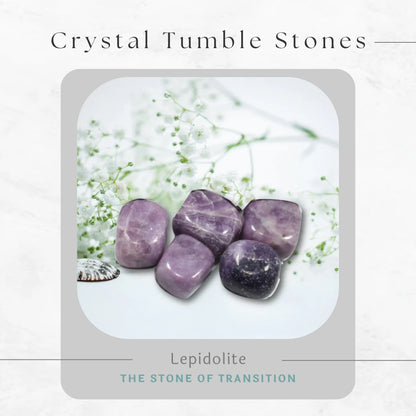 © SASARA • Mindfully-Sourced, High-Quality Lepidolite Fluorite Crystals