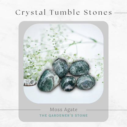 Grounded Love - Crystal Healing Tumble Stone Duo