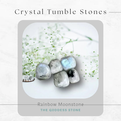 Yin-Yang - Crystal Healing Tumble Stone Duo